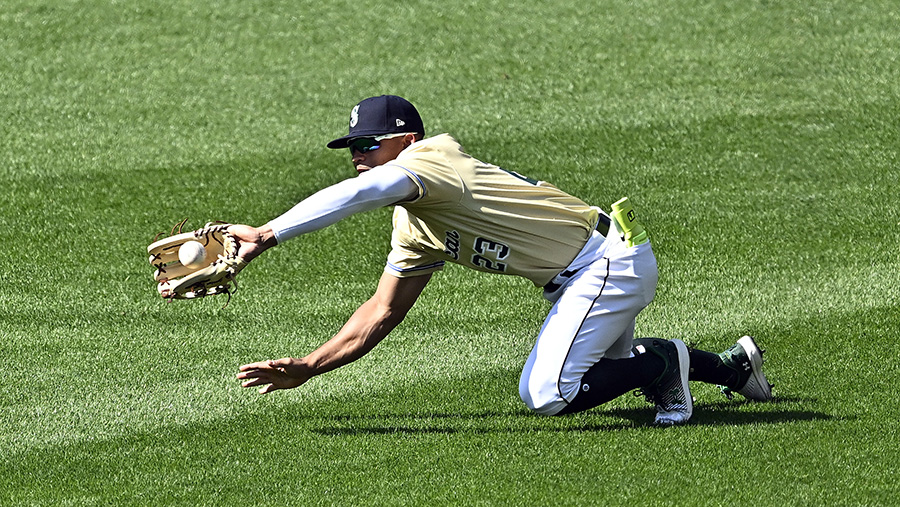 Seattle Mariners on X: Welcome to the Mariners family, Harry Ford