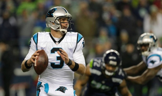Derek Anderson played just one play for the Panthers on Sunday, throwing an interception. (AP)...