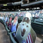 SEATTLE, WASHINGTON - JULY 31: A general view of the fan cutouts prior to an Opening Day game between the Seattle Mariners and Oakland Athletics at T-Mobile Park on July 31, 2020 in Seattle, Washington. (Photo by Abbie Parr/Getty Images)