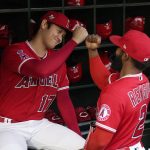 
              Los Angeles Angels designated hitter Shohei Ohtani, left, is greeted by Luis Rengifo prior to a baseball game against the Seattle Mariners Saturday, Sept. 25, 2021, in Anaheim, Calif. (AP Photo/Mark J. Terrill)
            