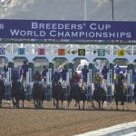 
              Competitors leave the starting gate during the Breeders' Cup Distaff race at the Del Mar racetrack in Del Mar, Calif., Saturday, Nov. 6, 2021. (AP Photo/Gregory Bull)
            
