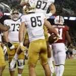 
              Notre Dame's George Takacs (85) celebrates with Michael Mayer (87) after catching a touchdown pass against Stanford during the first half of an NCAA college football game in Stanford, Calif., Saturday, Nov. 27, 2021. (AP Photo/Jed Jacobsohn)
            