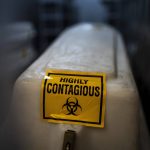
              FILE - A sealed coffin containing the remains of a COVID-19 victim is stored in a refrigerated container in Johannesburg, Tuesday, Feb. 2, 2021. A new coronavirus variant has been detected in South Africa that scientists say is a concern because of its high number of mutations and rapid spread among young people in Gauteng, the country's most populous province. (AP Photo/Jerome Delay, File)
            