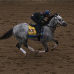 
              An exercise rider rides Essential Quality during morning workouts at Del Mar racetrack prior to the Breeders' Cup World Championship horse races Thursday, Nov. 4, 2021, in Del Mar, Calif. (AP Photo/Jae C. Hong)
            