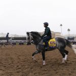 
              An exercise rider takes Knicks Go for a morning workout at Del Mar racetrack prior to the Breeders' Cup World Championship horse races Thursday, Nov. 4, 2021, in Del Mar, Calif. (AP Photo/Jae C. Hong)
            