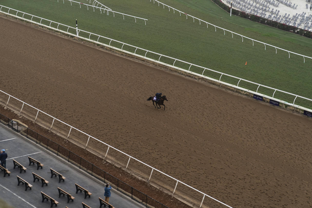 An exercise rider rides A Case Of You during morning workouts at Del Mar racetrack prior to the Bre...