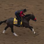 
              An exercise rider rides Hot Rod Charlie during morning workouts at Del Mar racetrack prior to the Breeders' Cup World Championship horse races Thursday, Nov. 4, 2021, in Del Mar, Calif. (AP Photo/Jae C. Hong)
            