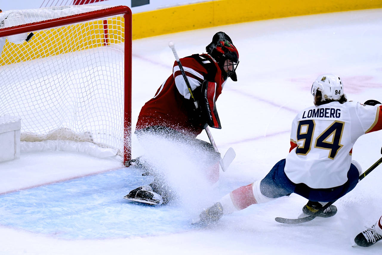 Arizona Coyotes goaltender Scott Wedgewood (31) gives up a goal to Florida Panthers' Patric Hornqvi...