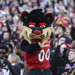 
              The Cincinnati Bearcat mascot stands in front of the student section during the first half of the American Athletic Conference championship NCAA college football game against Houston Saturday, Dec. 4, 2021, in Cincinnati. (AP Photo/Jeff Dean)
            