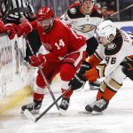 
              Detroit Red Wings forward Robby Fabbri (14) and Anaheim Ducks forward Trevor Zegras (46) chase the puck during the first period of an NHL hockey game Sunday, Jan. 9, 2022, in Anaheim, Calif. (AP Photo/Ringo H.W. Chiu)
            