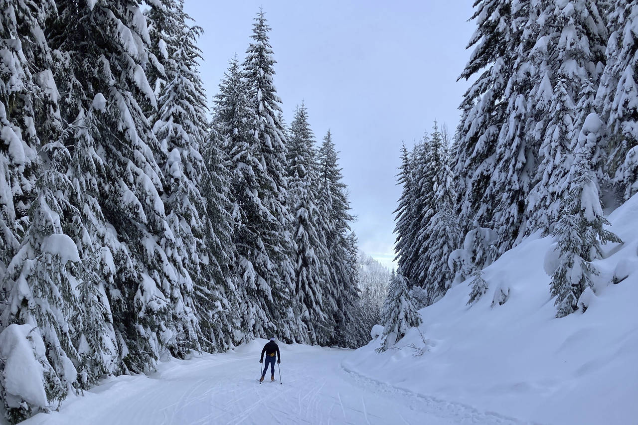 A cross country skier glides along the freshly groomed trails at Cabin Creek Sno Park near Easton, ...