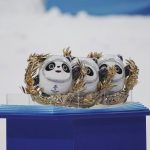 
              Mascots that were presented to the medalists are displayed before the award ceremony for the men's moguls at Genting Snow Park at the 2022 Winter Olympics, Saturday, Feb. 5, 2022, in Zhangjiakou, China. (AP Photo/Gregory Bull)
            