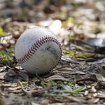 
              An unclaimed baseball sits outside the right field fence after a Major League Baseball player hit a home run during informal baseball workouts at the University of South Florida Thursday, Feb. 24, 2022, in Tampa, Fla. (AP Photo/Chris O'Meara)
            