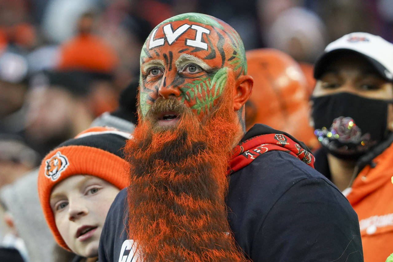 Bengals fans celebrate long-awaited Super Bowl appearance - Seattle Sports