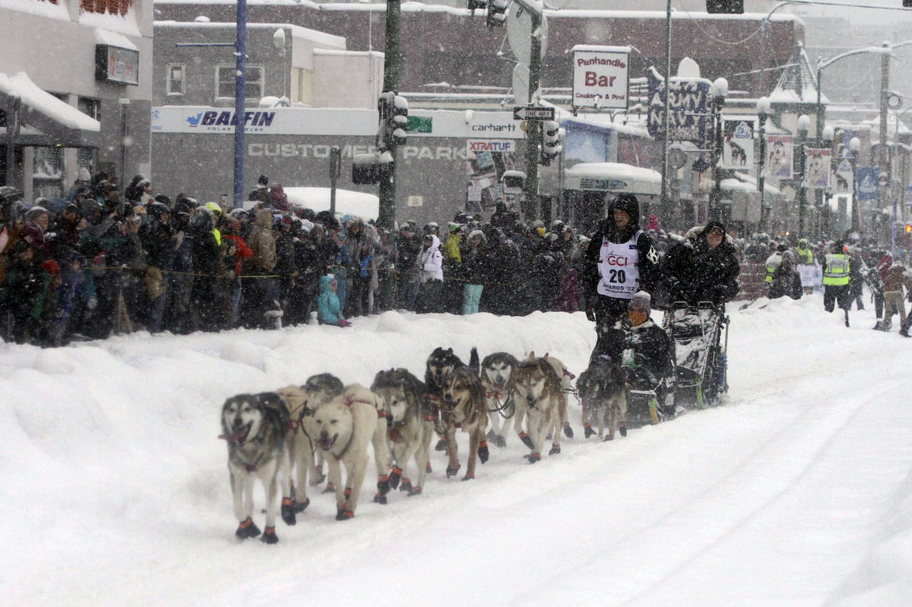 Five-time winner Dallas Seavey takes his sled dog team through a snowstorm in downtown Anchorage, A...
