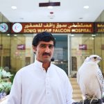 
              Khodr Allah, a Pakistani resident of Qatar, poses for a photograph with his gyrfalcon at the Souq Waqif Falcon Hospital work in Doha, Qatar, March 15, 2022. In the tiny, wealthy emirate of Qatar, the desert birds are among the nation's most pampered residents. Souq Waqif Falcon Hospital cares for the feathered patients in Qatar, which will host the upcoming 2022 FIFA World Cup. (AP Photo/Lujain Jo)
            