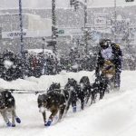 
              Sean Williams, a rookie musher from Chugiak, Alaska, takes his sled dogs through a snowstorm in downtown Anchorage, Alaska, on Saturday, March 5, 2022, during the ceremonial start of the Iditarod Trail Sled Dog Race. The competitive start of the nearly 1,000-mile race will be held March 6, 2022, in Willow, Alaska, with the winner expected in the Bering Sea coastal town of Nome about nine days later. (AP Photo/Mark Thiessen)
            