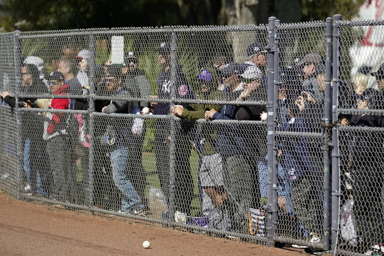 New York Yankees fans watch players practice during spring training baseball, Sunday, March 13, 202...