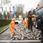 
              German artist Volker-Johannes Trieb drops 6,500 soccer balls filled with sand in front of the headquarters of the world football's governing body FIFA in Zurich, Switzerland, Friday, April 1, 2022. 'World conscience, you are a stain of shame' is emblazoned on the balls, which are meant to symbolize the migrant workers who have suffered through poor working conditions building the infrastructure in Qatar to stage the World Cup. (Ennio Leanza/Keystone via AP)
            
