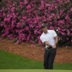 
              Tiger Woods chips to the green on the 13th hole during a practice round for the Masters golf tournament on Wednesday, April 6, 2022, in Augusta, Ga. (AP Photo/Charlie Riedel)
            