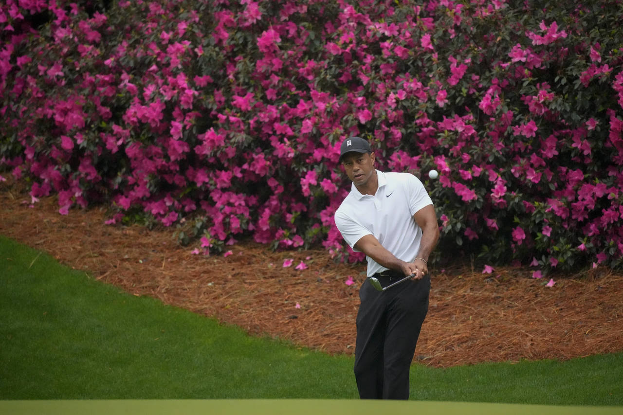 Tiger Woods chips to the green on the 13th hole during a practice round for the Masters golf tourna...
