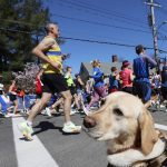 
              Margaux, a State Police K-9, watches as runners pass during the 126th Boston Marathon, Monday, April 18, 2022, in Hopkinton, Mass. (AP Photo/Mary Schwalm)
            