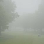 
              A person drives a golf cart through heavy fog before the start of the fourth round of the LPGA Cognizant Founders Cup golf tournament, Sunday, May 15, 2022, in Clifton, N.J. The start of the final round was delayed by an hour due to heavy fog. (AP Photo/Seth Wenig)
            