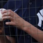 
              A fan holds a ball and a pen while waiting for autographs from players before a baseball game between the New York Yankees and the Chicago White Sox in Chicago, Friday, May 13, 2022. (AP Photo/Nam Y. Huh)
            