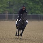 
              Black-Eyed Susan entrant Midnight Stroll, with exercise rider Humberto Gomez, gallops during a morning workout ahead of the Black-Eyed Susan horse race at Pimlico Race Course, Thursday, May 19, 2022, in Baltimore. (AP Photo/Julio Cortez)
            
