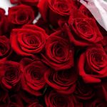 
              Red roses are displayed in the Churchill Downs plaza before the 148th running of the Kentucky Derby horse race Saturday, May 7, 2022, in Louisville, Ky. (AP Photo/Brynn Anderson)
            