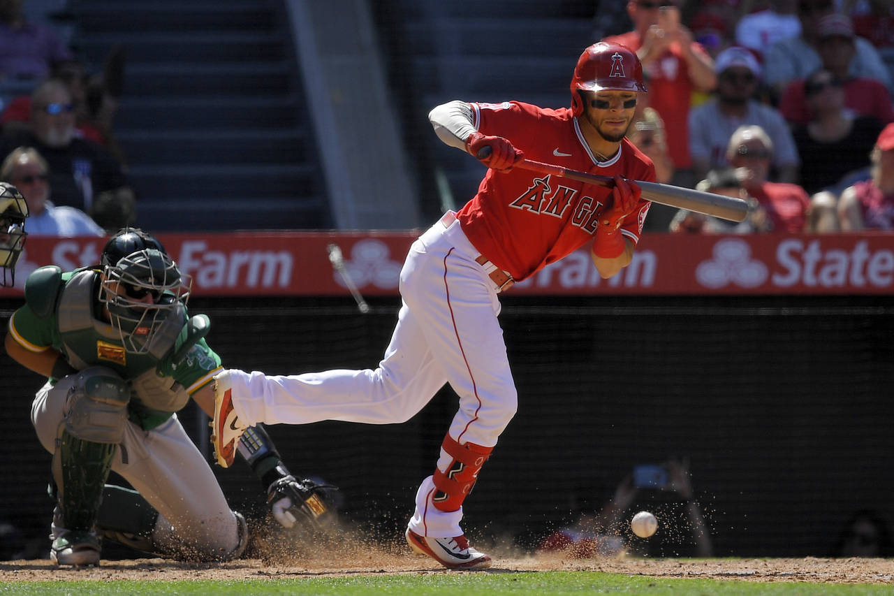 Los Angeles Angels' Andrew Velazquez, right, is hit by a pitch as Oakland Athletics catcher Sean Mu...
