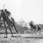 
              FILE - Citation, ridden by Eddie Arcado, races home an easy winner in the $100,000 added Belmont Stakes at Belmont Park race track in Elmont, N.Y. on June 12, 1948. Better Self, on rail, ridden by Warren Mehrtens, was second, six lengths away. Escadru, left, was third. Citation won the race and the Triple Crown. The Belmont Stakes is the final Triple Crown race before new federal regulations going into effect for horse racing across the United States. (AP Photo/File)
            