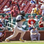 
              Pittsburgh Pirates' Canaan Smith-Njigbain (28) hits a double during the ninth inning in the first game of a baseball doubleheader against the St. Louis Cardinals, Tuesday, June 14, 2022, in St. Louis. (AP Photo/Scott Kane)
            
