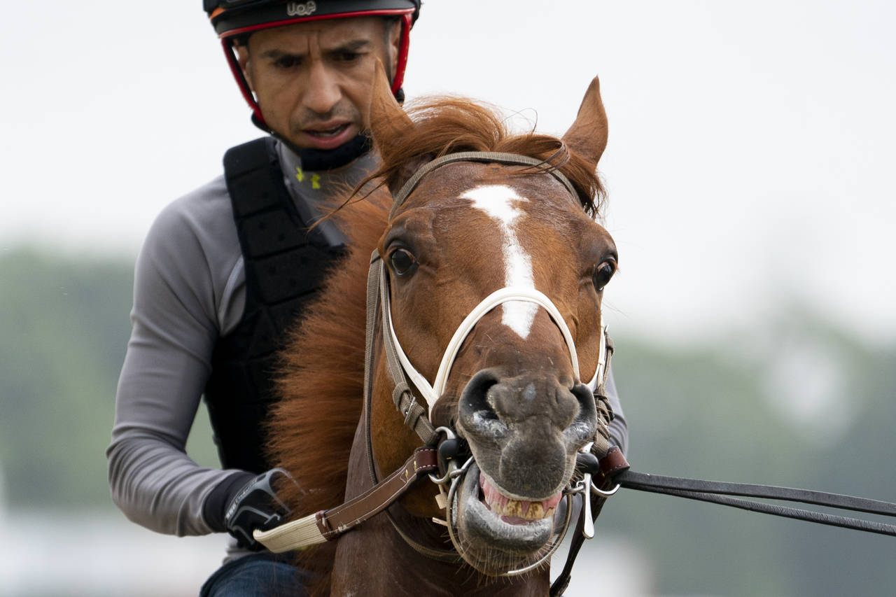 Rich Strike walks off the track after training before the 154th running of the Belmont Stakes horse...
