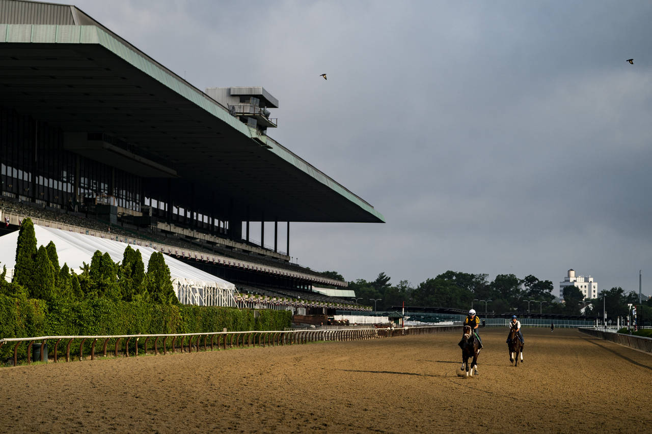 Horses train at daybreak before the 154th running of the Belmont Stakes horse race, Wednesday, June...