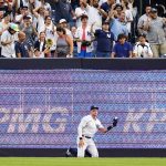 
              Fans cheer after New York Yankees' Aaron Judge caught a ball hit by Kansas City Royals' MJ Melendez for an out during the first inning of a baseball game Friday, July 29, 2022, in New York. (AP Photo/Frank Franklin II)
            