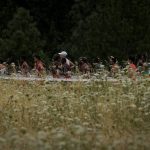 
              Runners compete during the marathon at the World Athletics Championships Sunday, July 17, 2022, in Eugene, Ore. (AP Photo/Charlie Riedel)
            