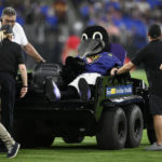 
              Poe, the Baltimore Ravens' mascot, sits on a medical cart during halftime of a preseason NFL football game between the Ravens and the Washington Commanders, Saturday, Aug. 27, 2022, in Baltimore. (AP Photo/Nick Wass)
            