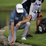 
              Will Zalatoris looks at his tee shot lie on the 11th green during a playoff in the final round of the St. Jude Championship golf tournament, Sunday, Aug. 14, 2022, in Memphis, Tenn. (AP Photo/Mark Humphrey)
            