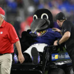 
              Poe, the Baltimore Ravens' mascot, sits on a medical cart during halftime of a preseason NFL football game between the Ravens and the Washington Commanders, Saturday, Aug. 27, 2022, in Baltimore. (AP Photo/Nick Wass)
            