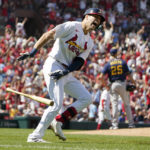 
              St. Louis Cardinals' Dylan Carlson, left, celebrates after after hitting a solo home run off Milwaukee Brewers relief pitcher Taylor Rogers (25) during the eighth inning of a baseball game Sunday, Aug. 14, 2022, in St. Louis. (AP Photo/Jeff Roberson)
            