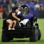
              Poe, the Baltimore Ravens' mascot, rides on a medical cart during halftime of a preseason NFL football game between the Ravens and the Washington Commanders, Saturday, Aug. 27, 2022, in Baltimore. (AP Photo/Nick Wass)
            