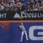
              Cincinnati Reds right fielder Albert Almora Jr. leaps into the wall to catch out, during the fifth inning of a baseball game against New York Mets, Monday, Aug. 8, 2022, in New York. (AP Photo/Bebeto Matthews)
            