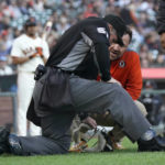 
              Umpire Marvin Hudson, foreground, is checked on by San Francisco Giants trainer Dave Groeschner during the first inning of a baseball game between the Giants and the San Diego Padres in San Francisco, Monday, Aug. 29, 2022. (AP Photo/Jeff Chiu)
            