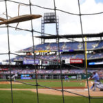 
              A praying mantis hangs on the netting as Philadelphia Phillies' Darick Hall, right, hits a single against Miami Marlins pitcher Edward Cabrera during the first inning of a baseball game, Thursday, Aug. 11, 2022, in Philadelphia. (AP Photo/Matt Slocum)
            