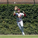 
              St. Louis Cardinals center fielder Dylan Carlson catches a fly ball from Chicago Cubs' Rafael Ortega during the third inning of a baseball game Tuesday, Aug. 23, 2022, in Chicago. (AP Photo/Charles Rex Arbogast)
            
