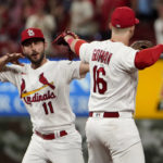 
              St. Louis Cardinals' Paul DeJong (11) and Nolan Gorman (16) celebrate a 4-1 victory over the Washington Nationals in a baseball game Tuesday, Sept. 6, 2022, in St. Louis. (AP Photo/Jeff Roberson)
            