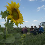 
              Farm workers take a pause for lunch during the sunflowers harvesting on a field in Donetsk region, eastern Ukraine, Friday, Sept. 9, 2022. (AP Photo/Leo Correa)
            