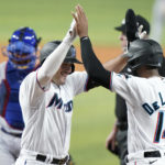 
              Miami Marlins' Nick Fortes, left, celebrates with Bryan De La Cruz (14) after hitting a two-run home run during the fifth inning of the team's baseball game against the Chicago Cubs, Wednesday, Sept. 21, 2022, in Miami. (AP Photo/Lynne Sladky)
            