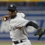 
              New York Yankees starting pitcher Domingo German throws to a Tampa Bay Rays batter during the first inning of a baseball game Friday, Sept. 2, 2022, in St. Petersburg, Fla. (AP Photo/Scott Audette)
            